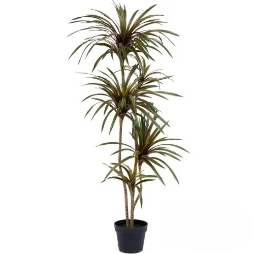 Árvore Artificial Colorida com - Dracaena Marginata avaliação e preço