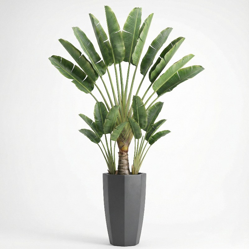 Árvore Artificial de Ficus Lyr - Ficus Lyrata Tree avaliação e preço