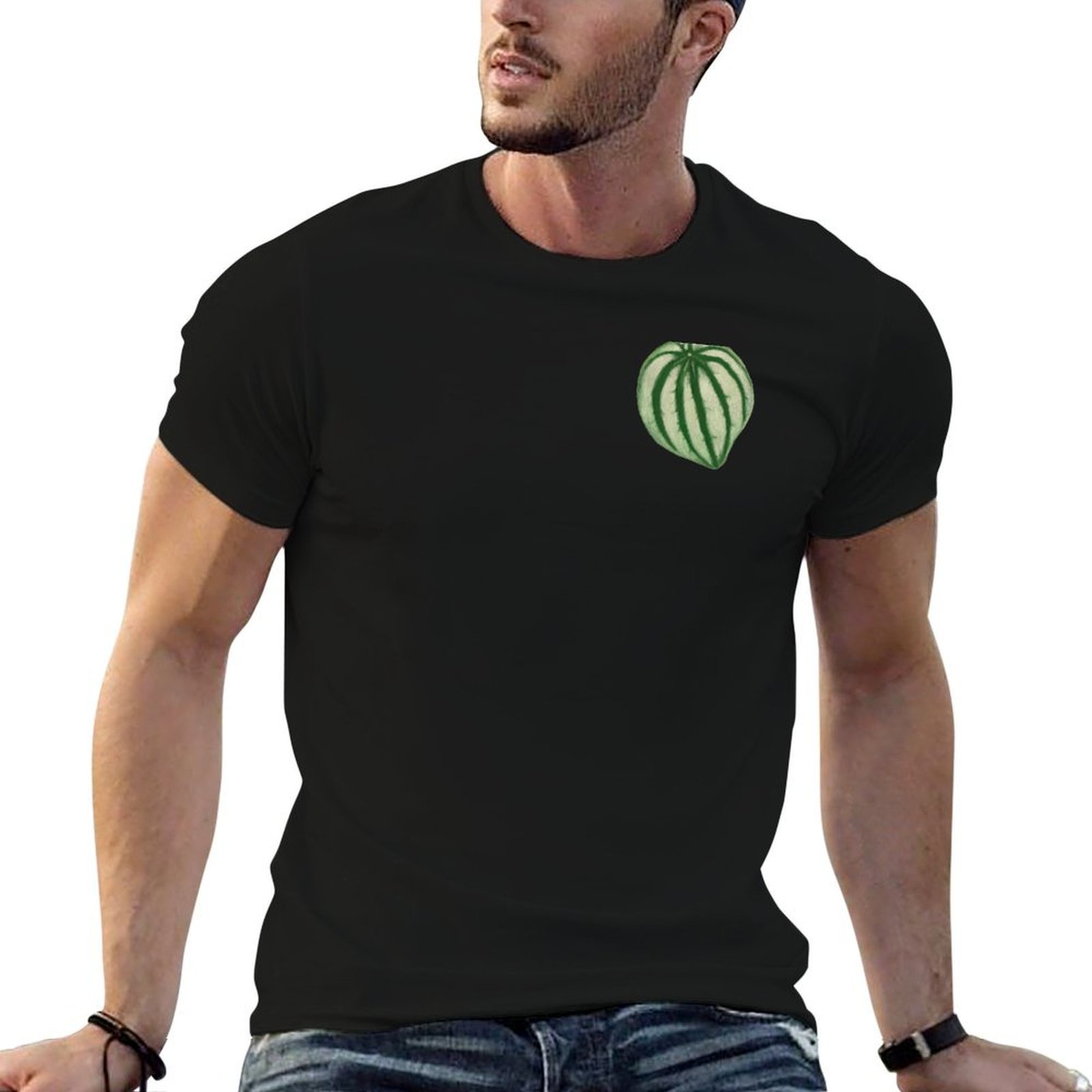 Camiseta Watermelon Peperomia  - Peperomia Watermelon avaliação e preço