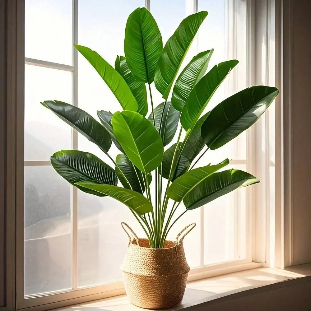 1pc 18 folhas plantas artifici - Ficus Lyrata Tree avaliação e preço